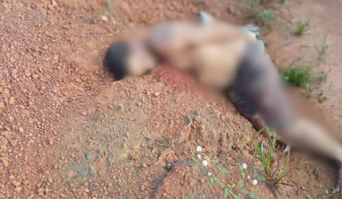 Corpo com sinais de violência é encontrado com mãos amarradas no AM