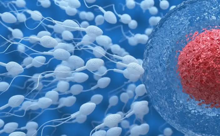 Urologista aponta quais hábitos prejudicam a qualidade dos espermas