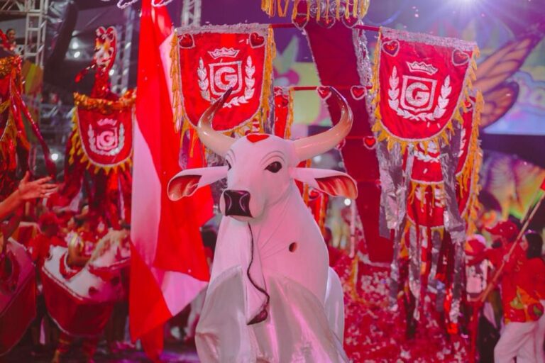 Garantido intensifica preparativos para o Carnaboi 2026 em Parintins